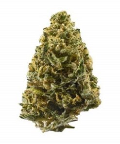 atomic jack strain, buy atomic jack weed online, atomic jack cannabis