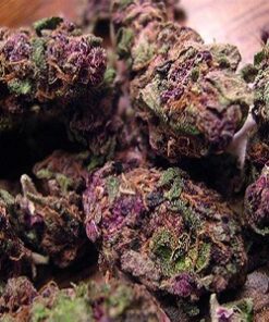 purple haze, purple haze weed, purple haze cannabis, purple haze marijuana, purple haze strain