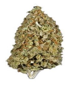 candy cane weed, candy cane cannabis, candy cane marijuana, candy cane strain, buy candy cane online, candy cane hemp for sale